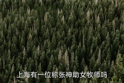 上海有一位稱張神助女牧師嗎