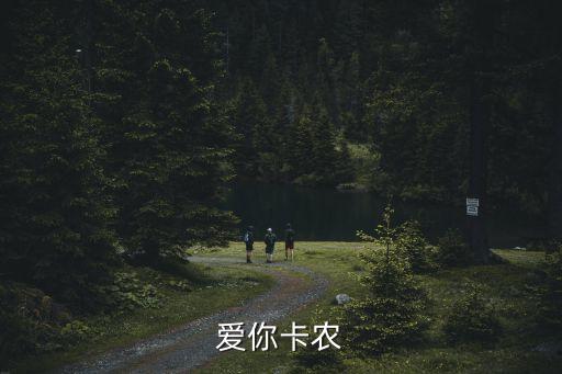 愛你卡農(nóng)，愛你卡農(nóng)