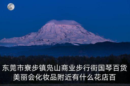 東莞市寮步鎮鳧山商業步行街國琴百貨美麗會化妝品附近有什么花店百