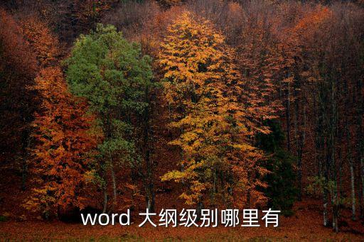 word 大綱級別哪里有