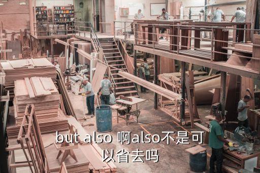 butalso，but also可以單獨(dú)使用嗎
