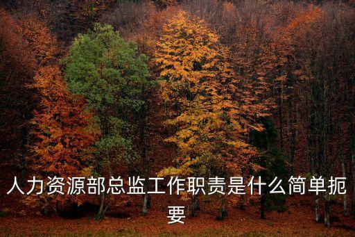 人力資源部總監工作職責是什么簡單扼要