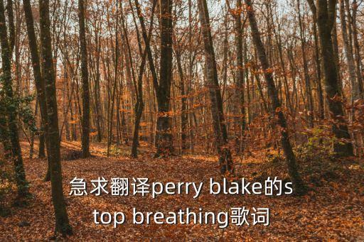 急求翻譯perry blake的stop breathing歌詞