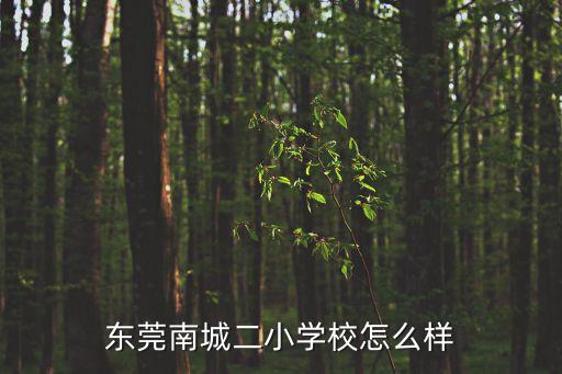 東莞南城二小學(xué)校怎么樣