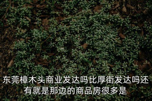 東莞樟木頭商業發達嗎比厚街發達嗎還有就是那邊的商品房很多是