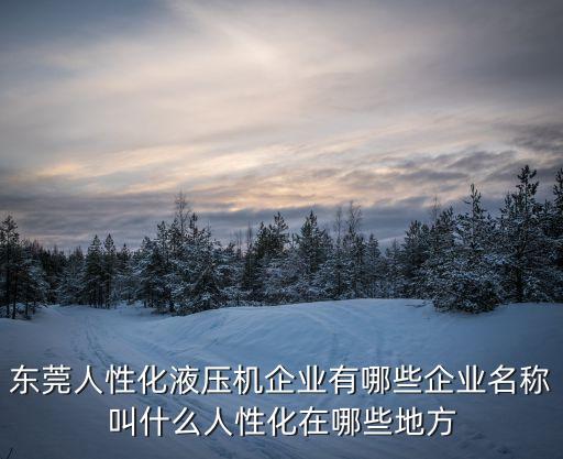 東莞人性化液壓機(jī)企業(yè)有哪些企業(yè)名稱叫什么人性化在哪些地方