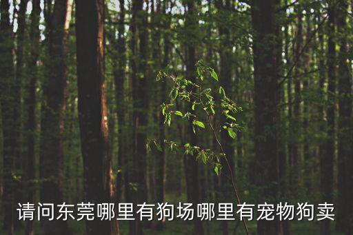請問東莞哪里有狗場哪里有寵物狗賣