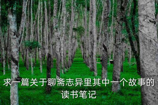 聊齋志異讀書筆記，求一篇關于聊齋志異里其中一個故事的讀書筆記