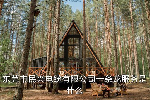 東莞推油 磁力，東莞市民興電纜有限公司一條龍服務是什么