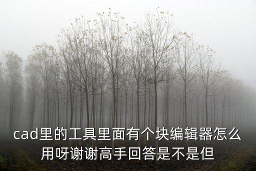 cad里的工具里面有個塊編輯器怎么用呀謝謝高手回答是不是但