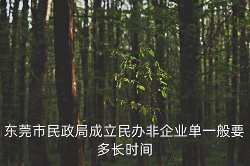 東莞市民政局成立民辦非企業(yè)單一般要多長(zhǎng)時(shí)間