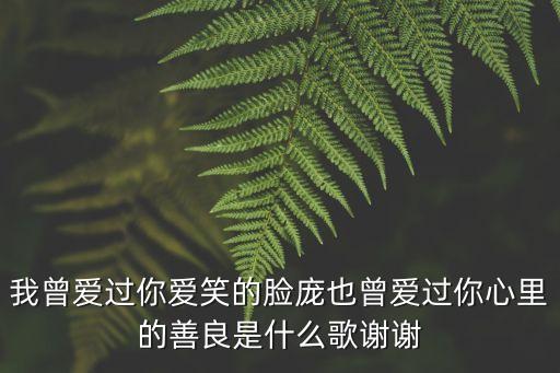 我曾愛過你愛笑的臉龐也曾愛過你心里的善良是什么歌謝謝
