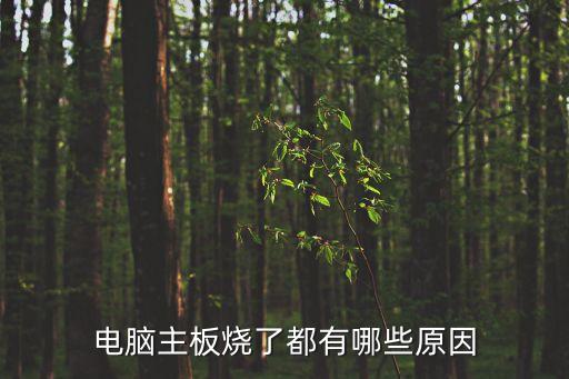 電腦主板燒了都有哪些原因