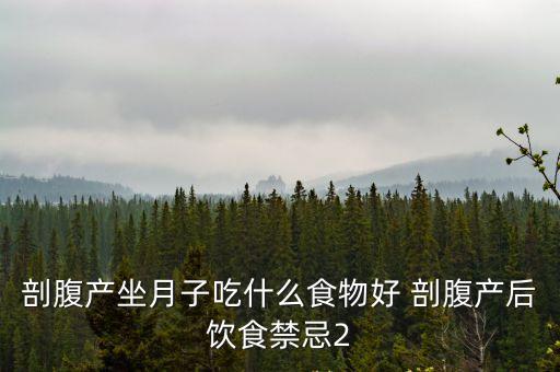 剖腹產(chǎn)坐月子吃什么食物好 剖腹產(chǎn)后飲食禁忌2