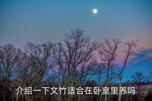 介紹一下文竹適合在臥室里養嗎