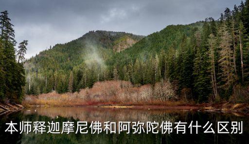 本師釋迦摩尼佛和阿彌陀佛有什么區(qū)別