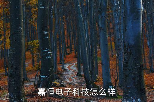 嘉恒電子科技怎么樣