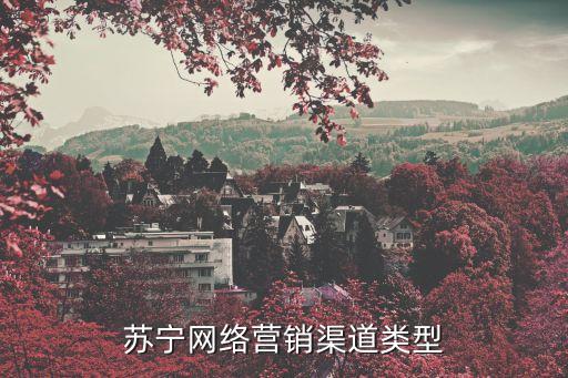 蘇寧易購推廣，蘇寧易購網址