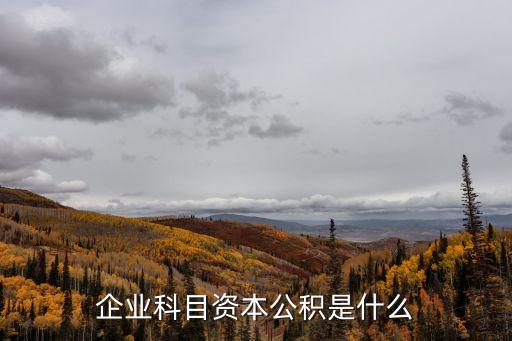 什么是資本公積，資本公積是指什么意思