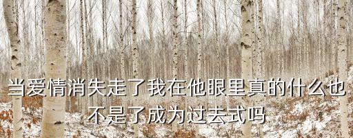 當愛情消失走了我在他眼里真的什么也不是了成為過去式嗎