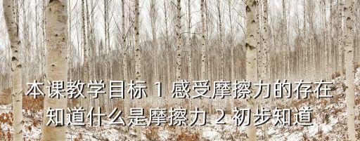 本課教學目標 1 感受摩擦力的存在知道什么是摩擦力 2 初步知道
