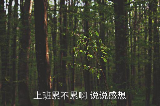 上班累不累啊 說說感想