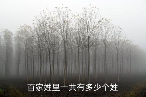 百家姓里一共有多少個姓