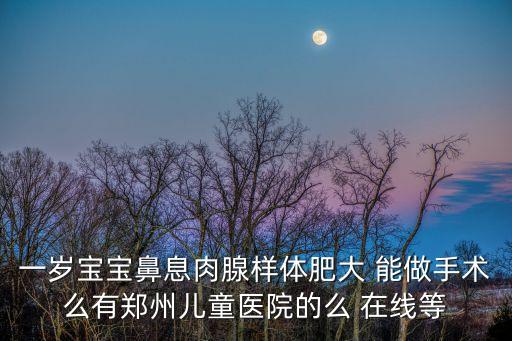 一歲寶寶鼻息肉腺樣體肥大 能做手術(shù)么有鄭州兒童醫(yī)院的么 在線等