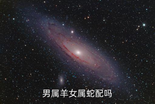 男屬羊女屬蛇配嗎