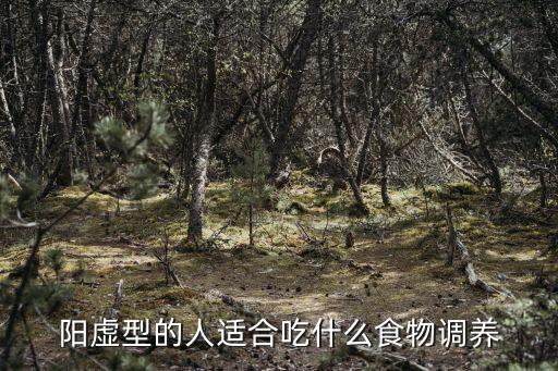 陽虛吃什么調理，陽虛吃什么補NO復制