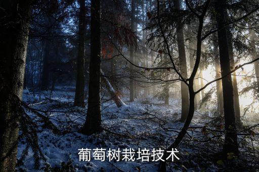 葡萄樹(shù)栽培技術(shù)