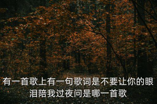 不讓我的眼淚陪我過夜歌詞，有一首歌上有一句歌詞是不要讓你的眼淚陪我過夜問是哪一首歌
