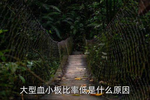 大型血小板比率低是什么原因