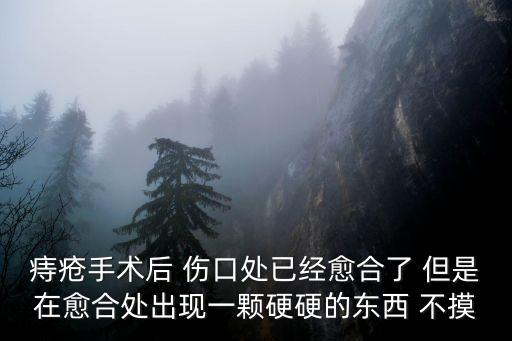 痔瘡手術(shù)后 傷口處已經(jīng)愈合了 但是在愈合處出現(xiàn)一顆硬硬的東西 不摸