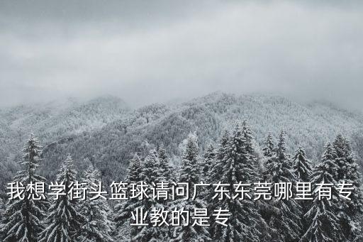 我想學街頭籃球請問廣東東莞哪里有專業(yè)教的是專
