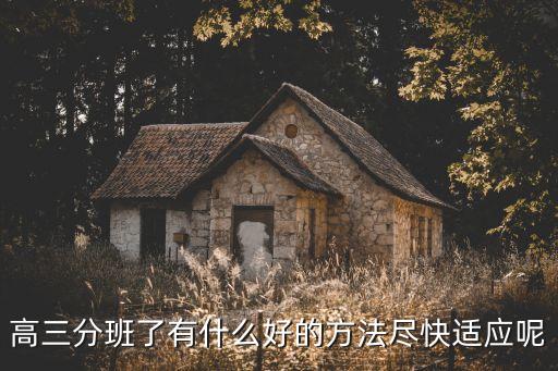 高三分班了有什么好的方法盡快適應(yīng)呢