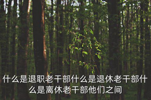什么是退職老干部什么是退休老干部什么是離休老干部他們之間
