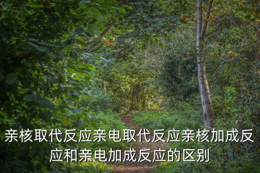親核取代反應(yīng)親電取代反應(yīng)親核加成反應(yīng)和親電加成反應(yīng)的區(qū)別