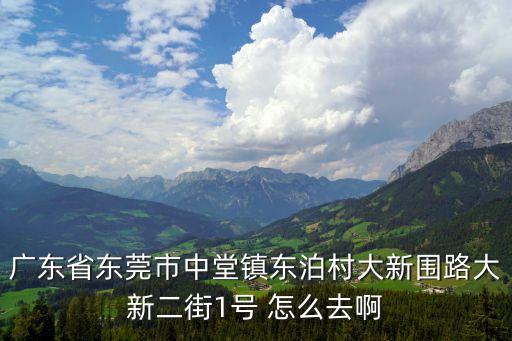 廣東省東莞市中堂鎮東泊村大新圍路大新二街1號 怎么去啊