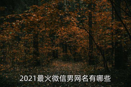 2021最火微信男網名有哪些