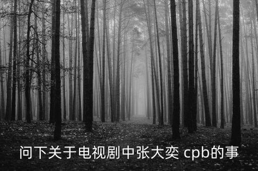 問下關于電視劇中張大奕 cpb的事