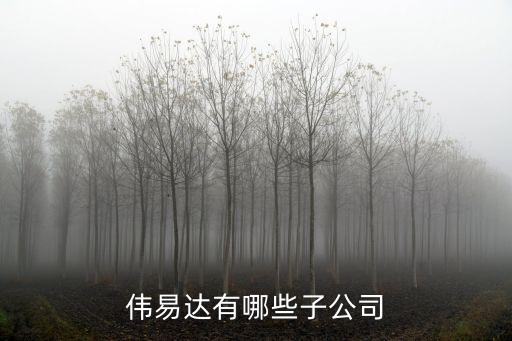 偉易達有哪些子公司