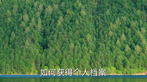如何獲得個人檔案