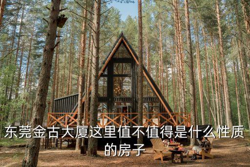 東莞金古大廈這里值不值得是什么性質的房子