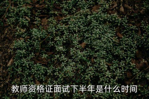 教師資格證面試下半年是什么時間