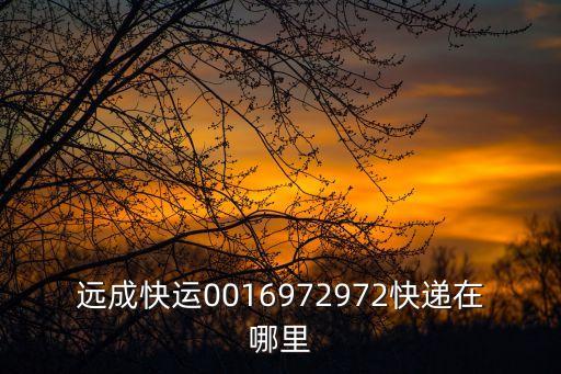 東莞遠成物流網點電話，遠成物流南岸分公司092910589292到了嗎