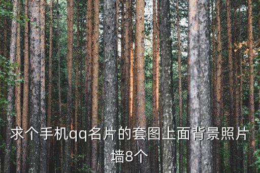 求個手機qq名片的套圖上面背景照片墻8個