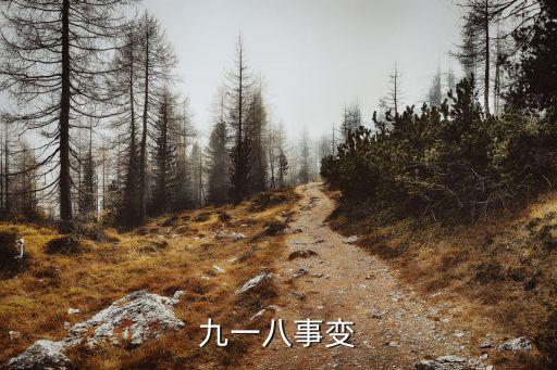 813事變，一二八事變八一三事變誰早啊