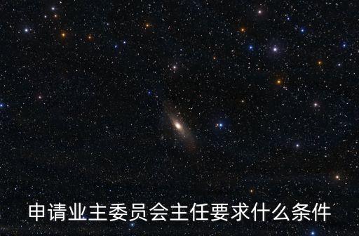 申請業主委員會主任要求什么條件