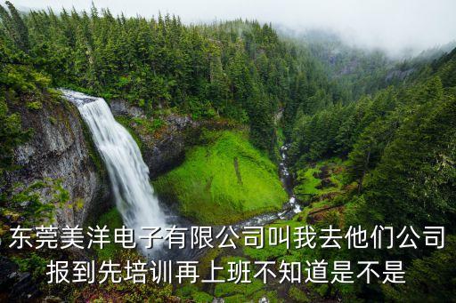 東莞美洋電子電話，東莞哪里正品才水貂皮草